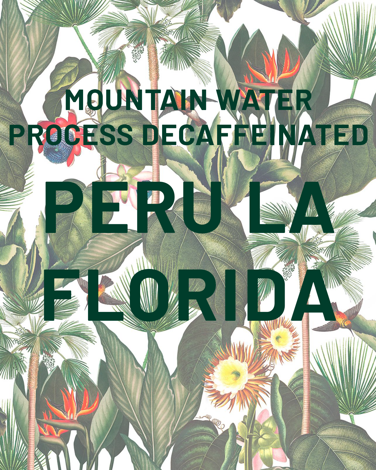 Mountain Water Process Decaffeinated Peru La Florida, , 5 lb. bag