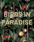 Birds in Paradise, 5 lb. Bag