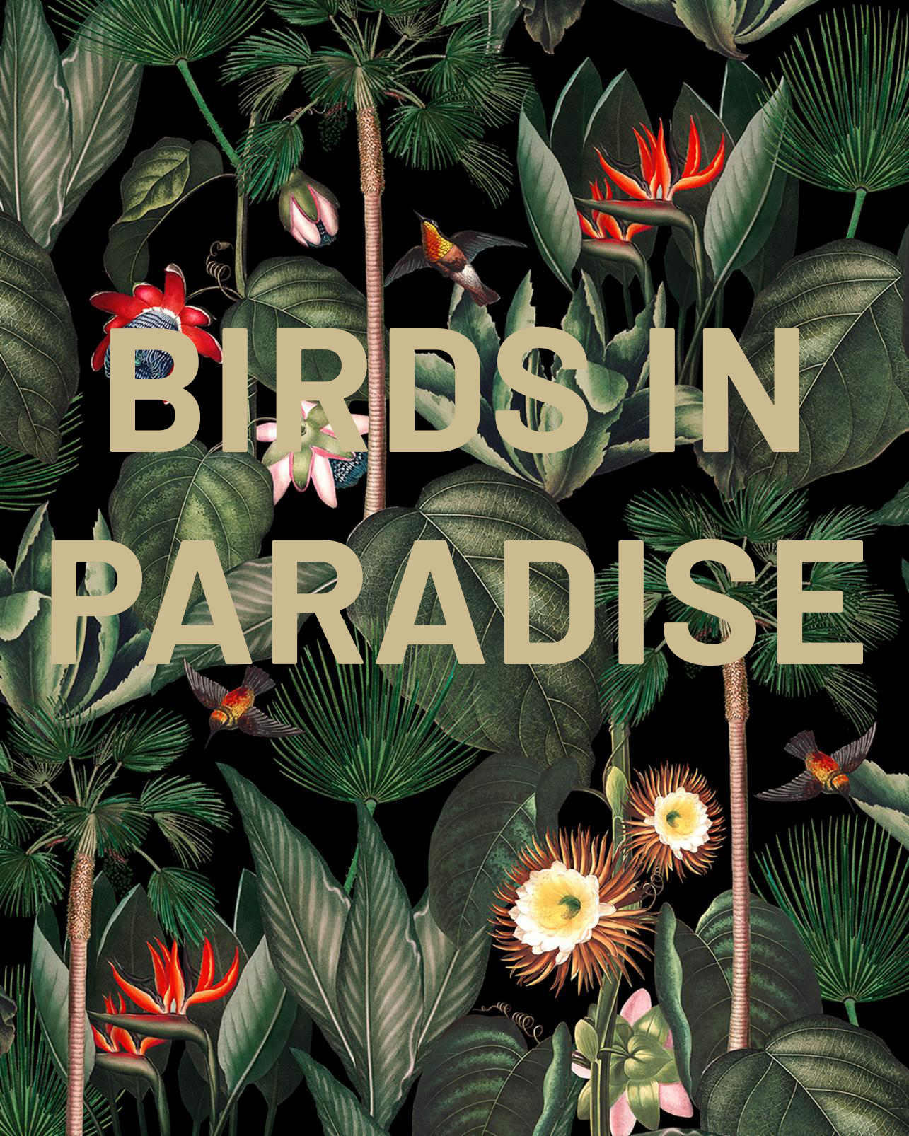 Birds in Paradise, 5 lb. Bag