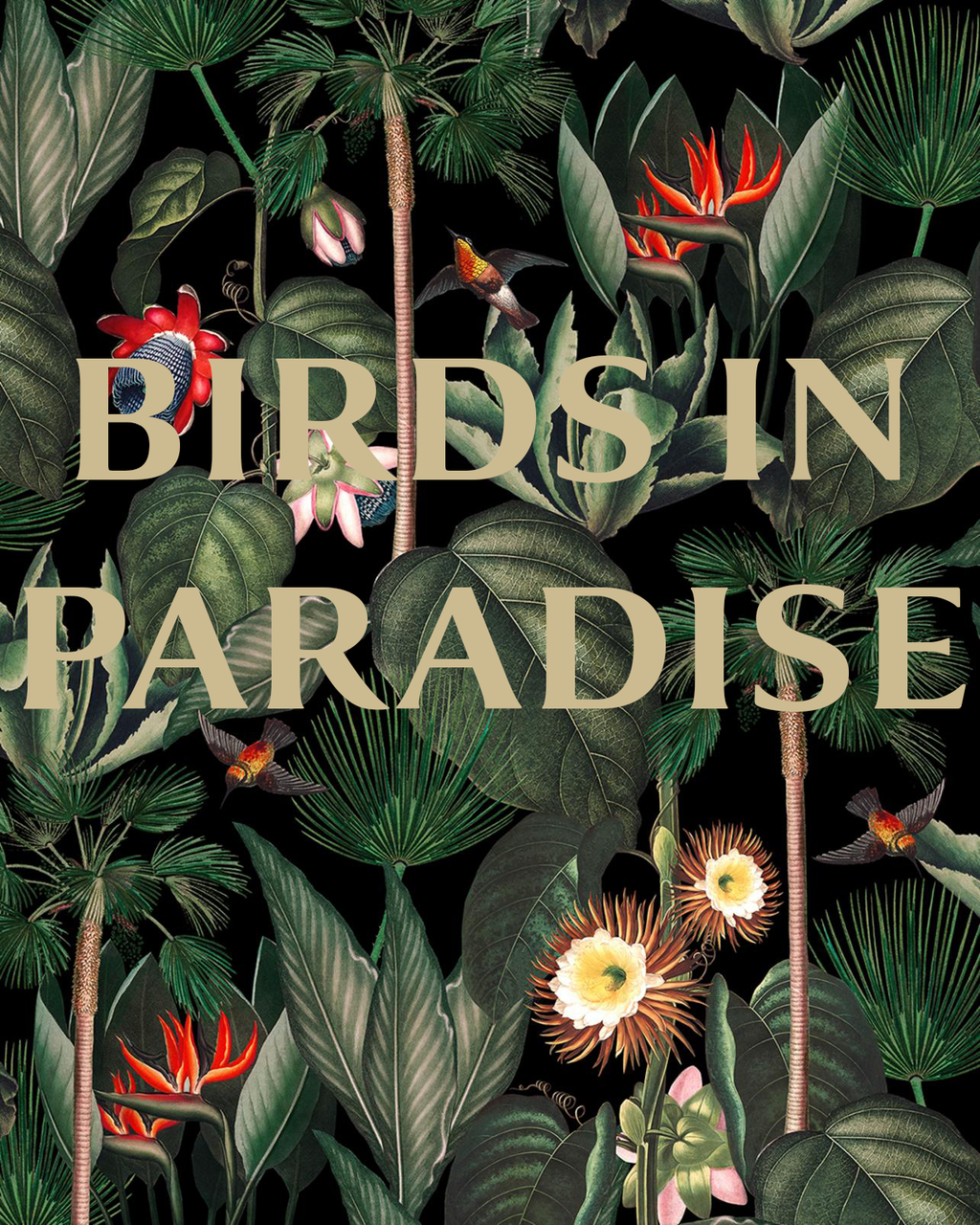 Birds in Paradise, 2 lb. Bag