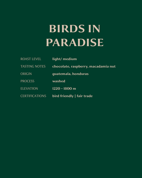 Birds in Paradise, 2 lb. Bag