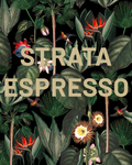 Strata Espresso