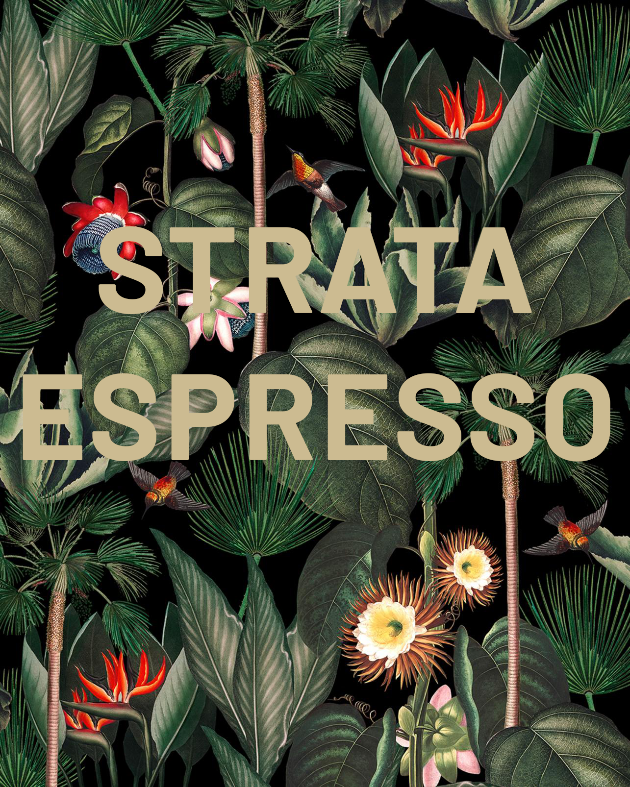 Strata Espresso