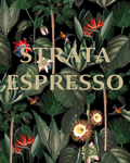 Strata Espresso, 2 lb bag