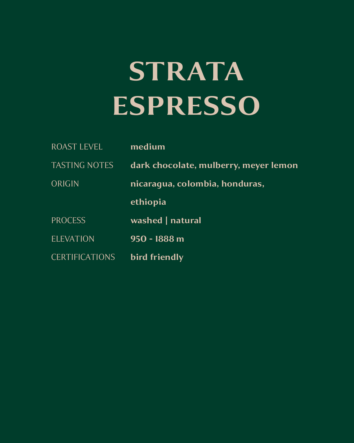 Strata Espresso, 2 lb bag