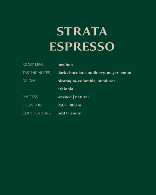 Strata Espresso, 2 lb bag